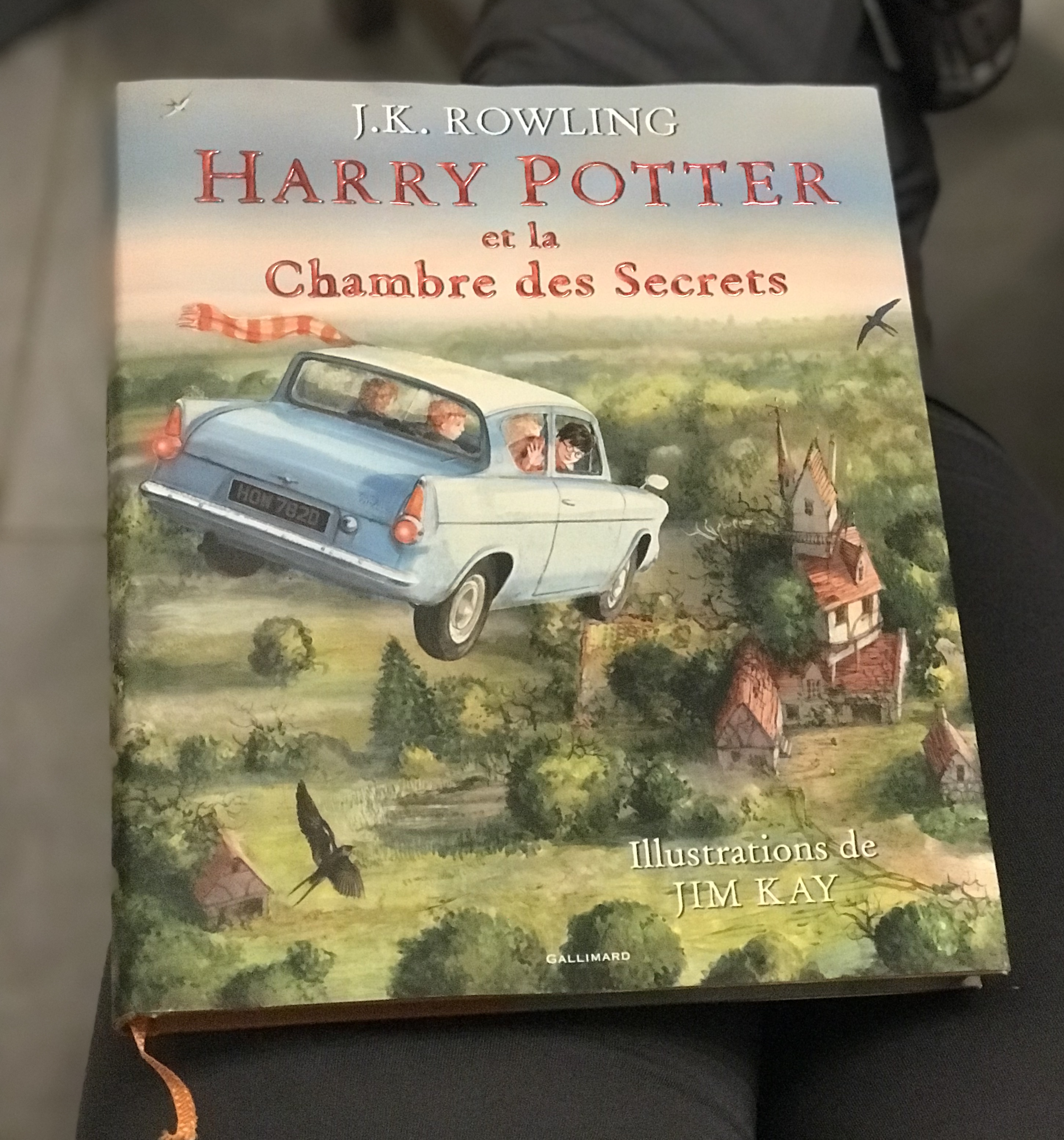 Harry Potter et la chambre des secrets de J.K. Rowling (illustré par Jim Kay) – Un bouquin dans la main
